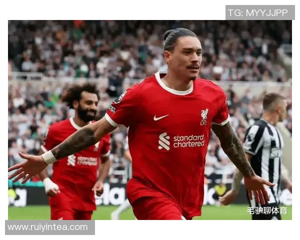 努涅斯在赛季初展现出惊人潜力成为球队新星的背后故事与挑战